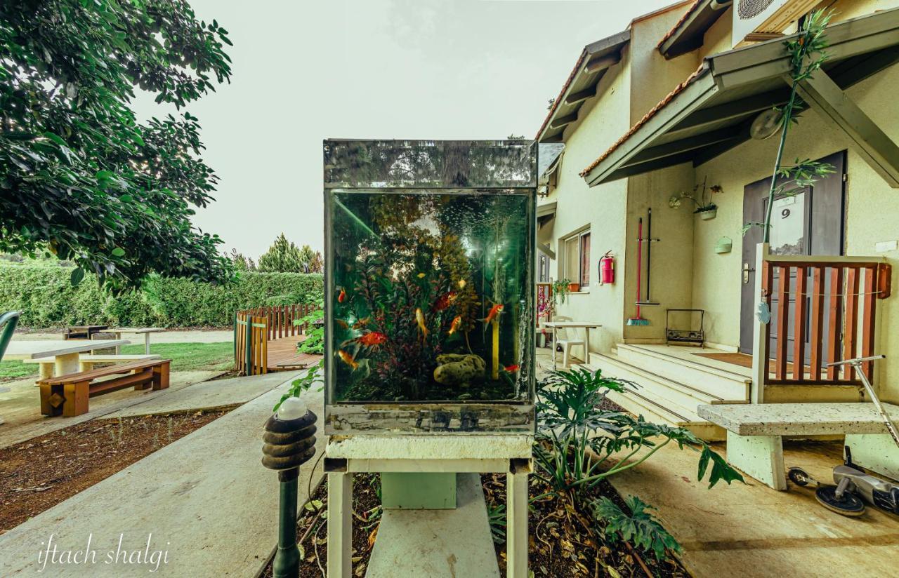 Nuriel Fruit & Guest House Sheʼar Yashuv Exteriör bild