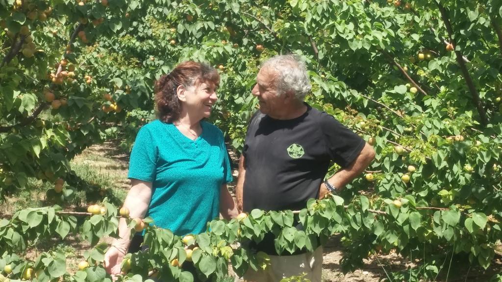Nuriel Fruit & Guest House Sheʼar Yashuv Exteriör bild