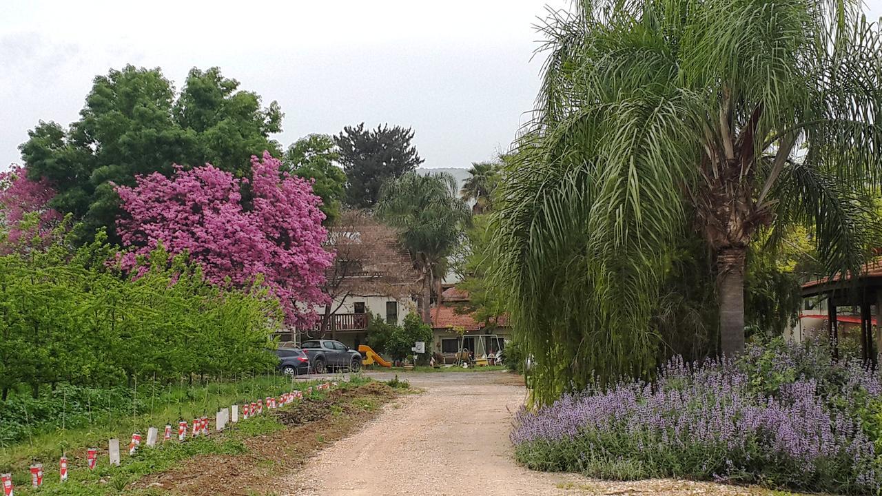Nuriel Fruit & Guest House Sheʼar Yashuv Exteriör bild