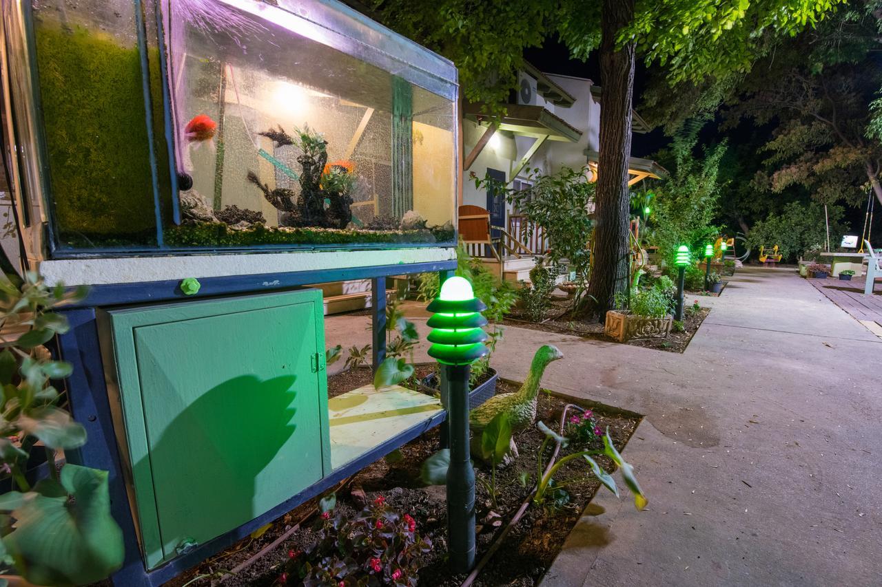 Nuriel Fruit & Guest House Sheʼar Yashuv Exteriör bild
